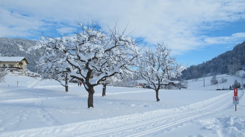 Langlaufen in het hoogdal Wildschönau in Tirol