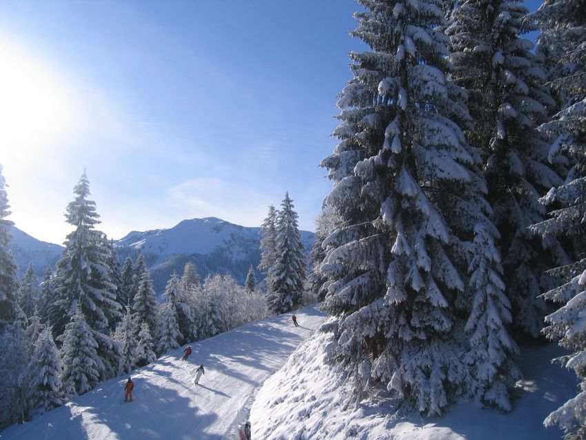 Prachtige pistes in het skigebied Wildschönau