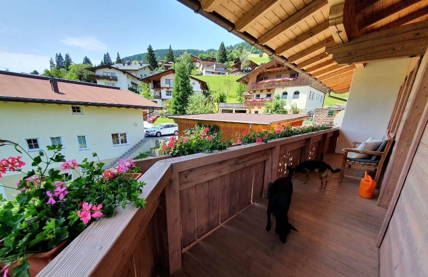Wandelen met hond in Tirol