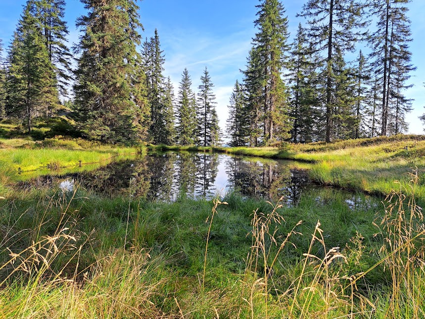 Vakantie in de Wildschönau in Tirol