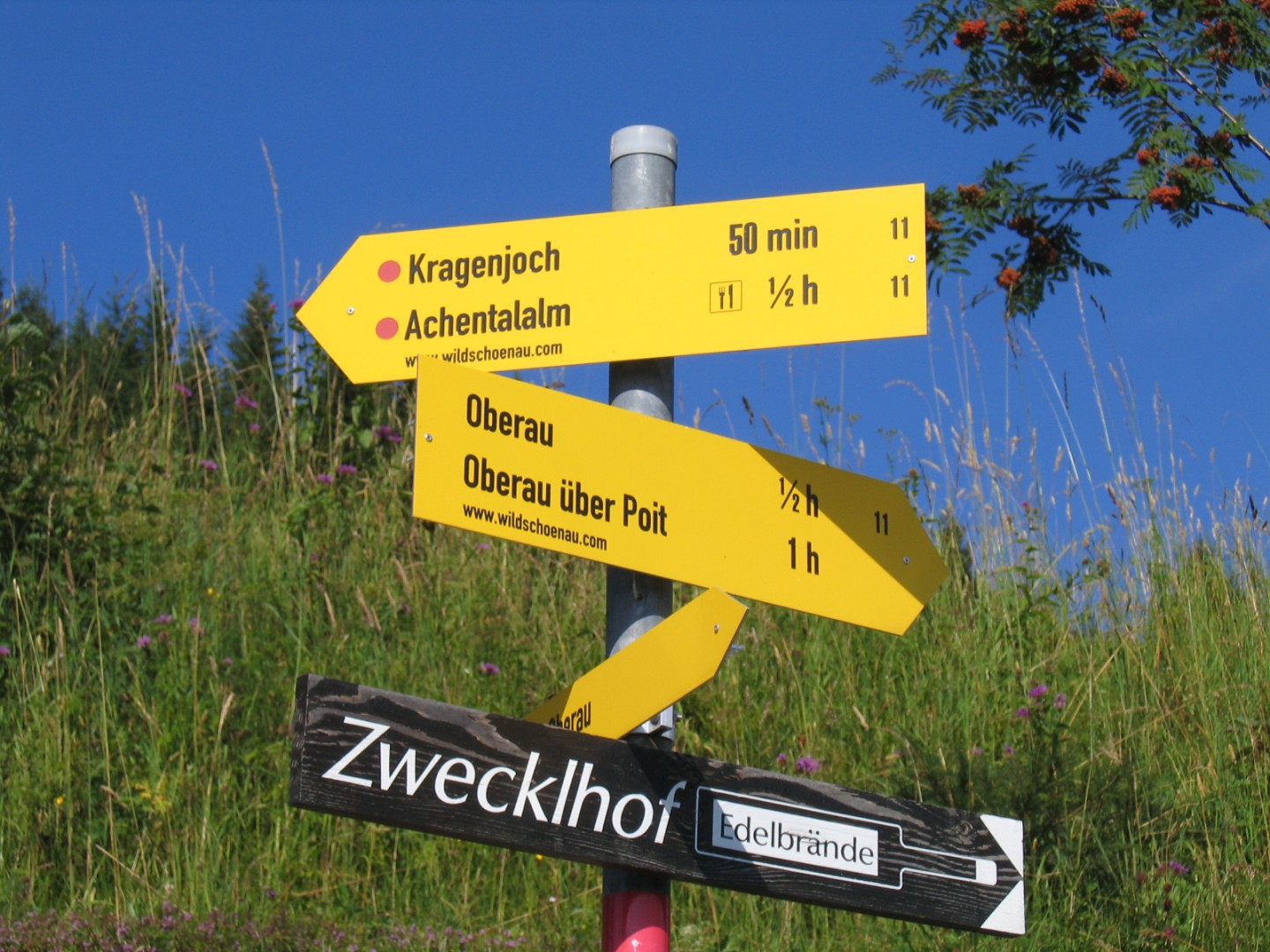 Wandelen in de Wildschönau voor gezinnen